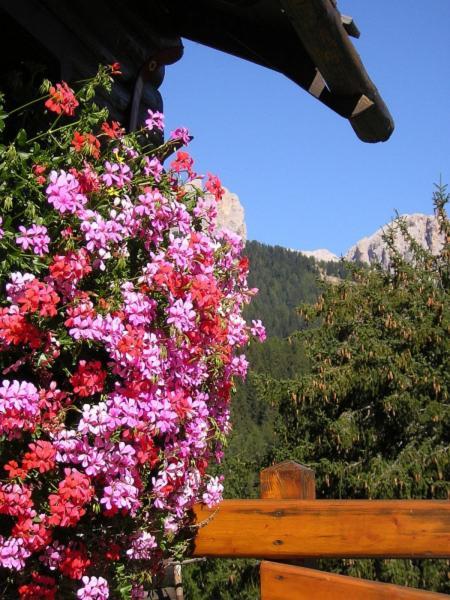 Hotel Gran Mugon Vigo di Fassa Esterno foto